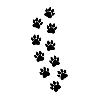 Dog paw prints vector