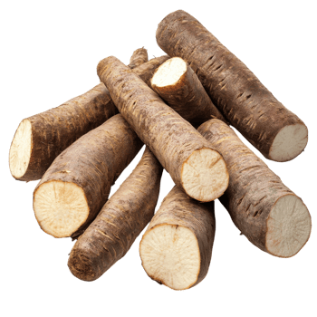 Cassava Roots Nutritious and Wholesome on transparent background. png