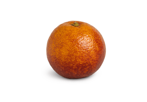 Blood red oranges isolated. Flat lay png