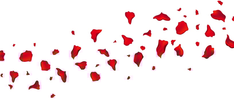 Scattered rose petals for love and special celebrations. vector