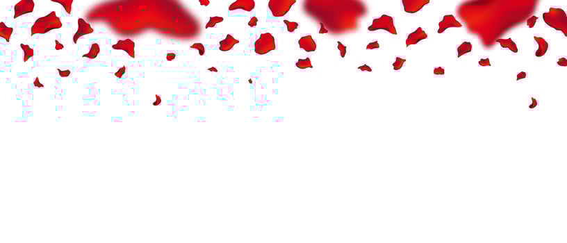 Scattered rose petals symbolizing romance and festive elegance. vector