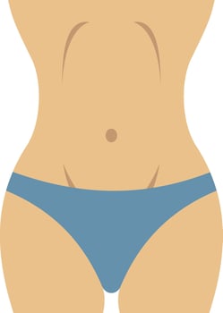 Women Bodyillustration with isolated background vector