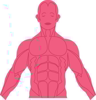 Physical illustration with isolated background vector