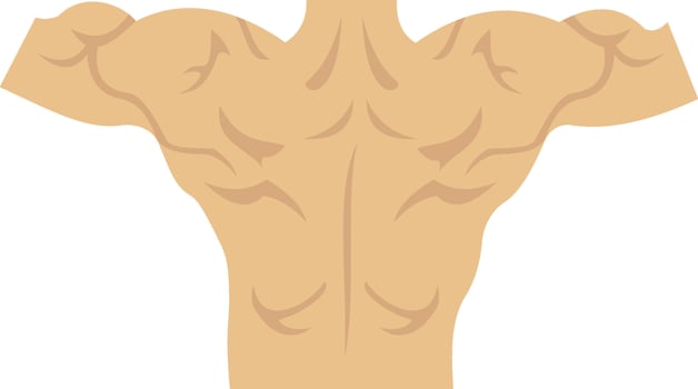 Back illustration with isolated background vector