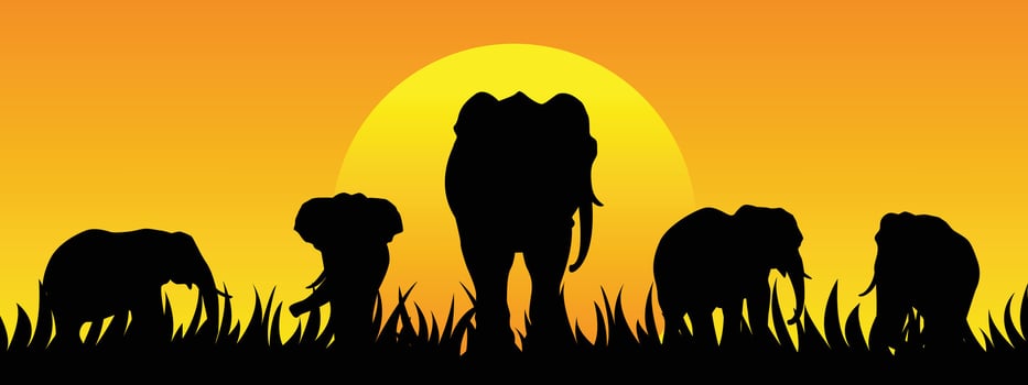 Silhouette of Elephants of the savannah. Wildlife concept. illustration. vector