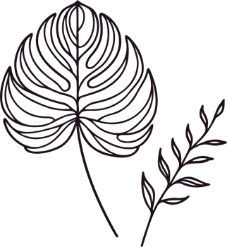 Monstera Leaf Botanical Illustration, heart shaped leaf illustration of a plant set of leaves black and white silhouettes of leaves seamless pattern with leaves png