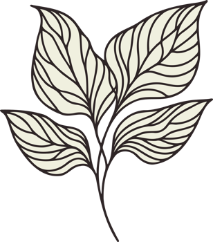 Hand drawn vintage sketch, leaves Line art, Plants collection branches Floral elements, set botanical illustration outline leaf, branch, black and white leaves, Decorative Botanical Design png