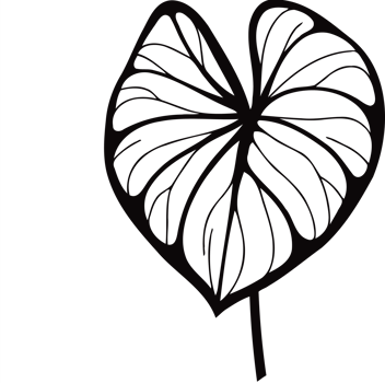 Heart-Shaped Anthurium Leaf, heart shaped leaf illustration of a plant set of leaves black and white silhouettes of leaves seamless pattern with leaves png