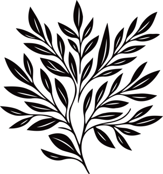 Hand drawn vintage sketch, leaves Line art, Plants collection branches Floral elements, set botanical illustration outline leaf, branch, black and white leaves, sketch of a leaf png