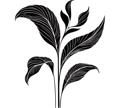 Tropical Anthurium Leaf Composition, Hand drawn vintage sketch, leaves Line art, Plants collection branches Floral elements, set botanical illustration outline leaf, branch, black and white leaves png