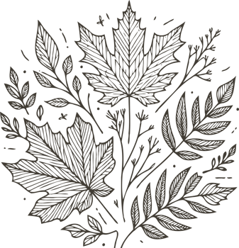 Hand drawn vintage sketch, green leaves Line art, Plants collection branches Floral elements, set botanical illustration outline leaf, branch, black and white leaves png