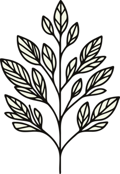 element Hand Drawn Vintage Sketch Drawing, green leaves Line Art, Plants tree branch, Collection branches Floral elements, set of Botanical Illustration Outline leaf, Black And White leaves png