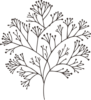 Pointed Hand Drawn Vintage Sketch Drawing, green leaves Line Art, Plants tree branch, Collection branches Floral elements, set of Botanical Illustration Outline leaf, Black And White leaves png