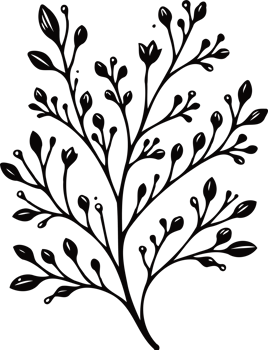 Hand Drawn Vintage Sketch Drawing, green leaves Simple Line Art, Plants tree branch, Collection branches Floral elements, set of Botanical Illustration Outline leaf, Black And White leaves png