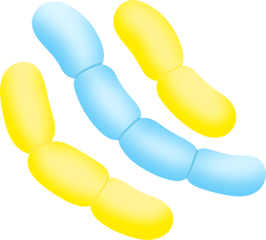 blue Chromosome structure png