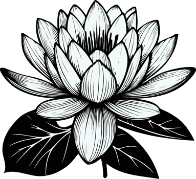 drawn. Hand Drawn Vintage Sketch Drawing, Flower water lily Bud Line Art, Plants, Collection lotus Floral elements, set of Botanical Illustration Outline Of A Flowers, Black And White leaves Art png