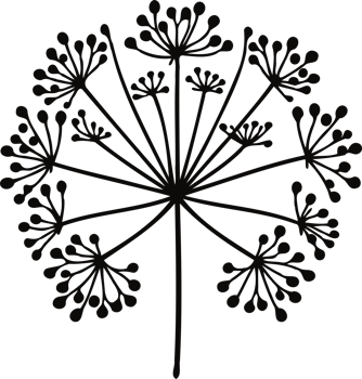 Umbrella Flora Illustration, Herb Botanical Illustration, Hand drawn meadow line art floral, leaves black and white Doodle illustration, outline plants stylized drawing, wild flowers, grasses png