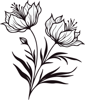 Pencil Flower Drawings. Hand Drawn contour Doodle flowers, line art floral, leaves black and white illustration, peony, poppy, anemone, flower set of decorative elements of plants stylized drawing png