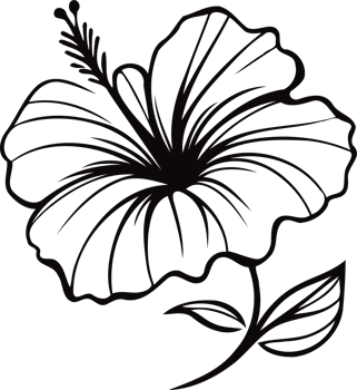 A drawing of a bunch of flowers, flowers hibiscus, line art floral, leaves, black and white illustration Chinese rose, decorative elements of plants stylized png
