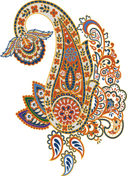 a colorful paisley design with a flower vector