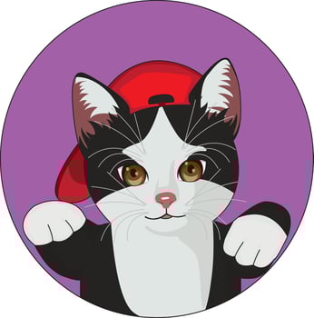 Cool Cat In Hip Hop Style Kittens Logo vector