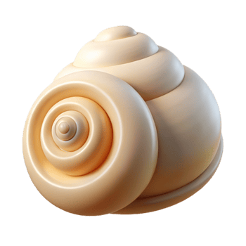 dramatic minimalist A spiral shell resting on smooth, white sand, illuminated by soft, ambient light, photorealistic style premium png