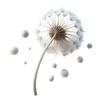 serene vintage A single dandelion seed head with seeds blowing in the wind, delicate and ethereal, minimalist composition, soft lighting, monochrome detailed png