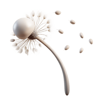 dramatic creative A single dandelion seed head with seeds blowing in the wind, delicate and ethereal, minimalist composition, soft lighting, monochrome detailed png