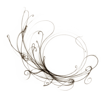 a black and white drawing of a swirl on a white background png