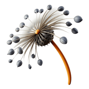 dramatic classic vibrant artistic A single dandelion seedhead with seeds blowing in the wind, delicate and ethereal, black and white photography premium authentic png
