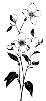 Monochromatic floral illustration png