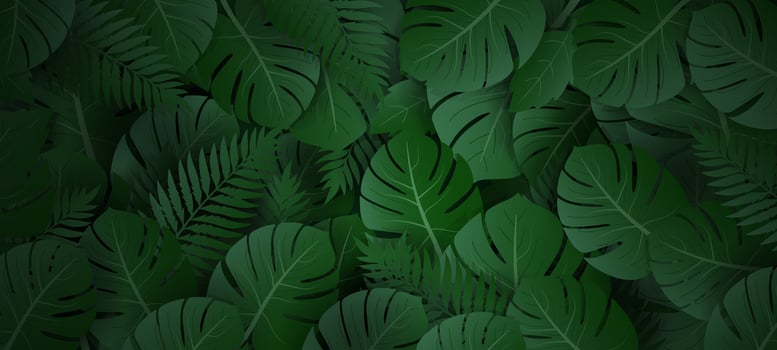 a green jungle background with many exotic leaves vector