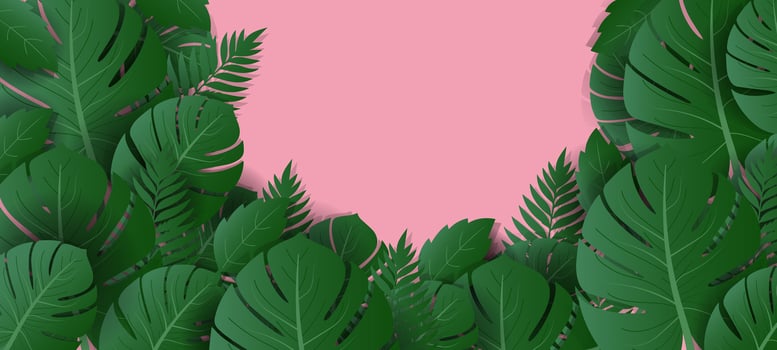 tropical leaves on pink background vector