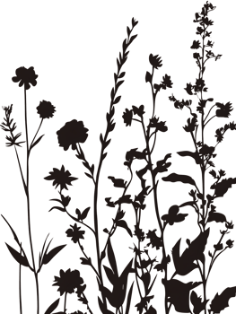 Silhouette of wildflowers on black background png