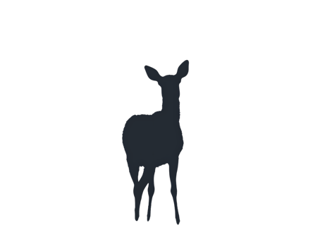 Dark silhouette of a deer standing in the night. png