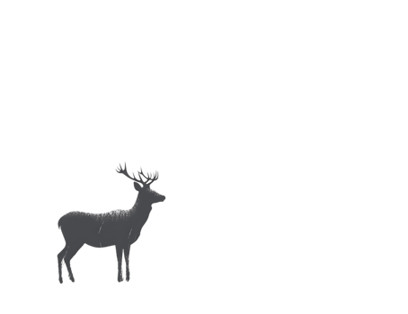 Dark silhouette of a deer against a black background. png