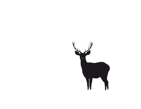 Silhouette of a deer in the dark transparent png