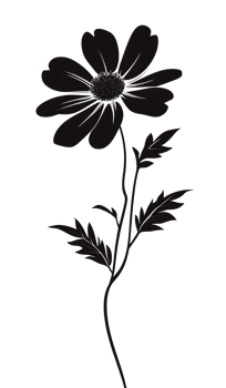 Elegant monochrome flower illustration. png