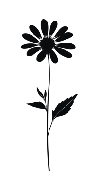 Simple line drawing of a daisy flower. png
