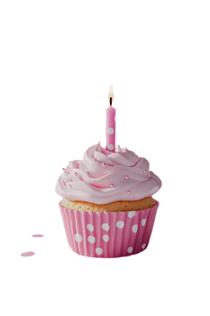 A pink cupcake with a single candle on top png