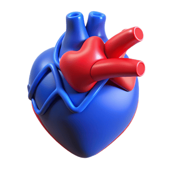 impressive contemporary serene classic A digital representation of a human heart beating, glowing red and blue, medical illustration style, dark background lighting high quality original png