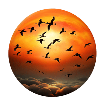 dramatic minimalist A flock of migrating birds silhouetted against a fiery sunset sky, in a dynamic, action packed style exclusive png