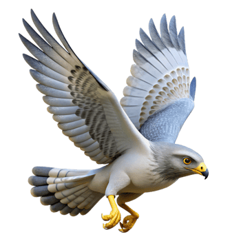 magnificent vintage Majestic Grey Hawk 3D Render genuine png