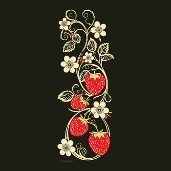 Minimalist Botanical Illustration vector
