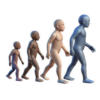 stunning abstract serene rustic Human Evolution 3D Model high resolution detailed png
