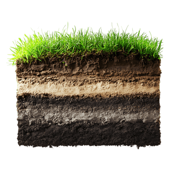 Soil layer with grass and soil on over transparent background png