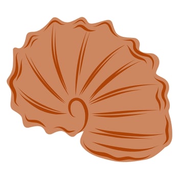 Hand drawn brown shell, nautilus, spiral, ammonite, mollusk illustration vector