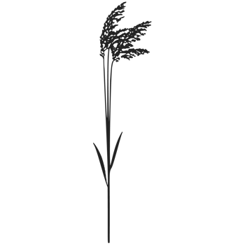 A black and white drawing of a tall grass png