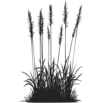 Silhouette of tall grass on a black background png