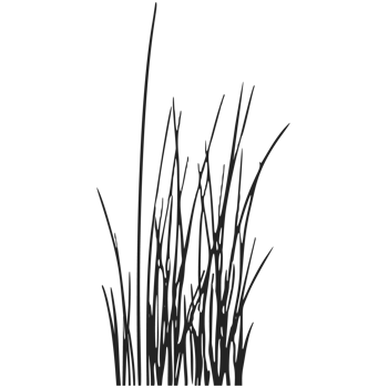 A black and white drawing of grass png
